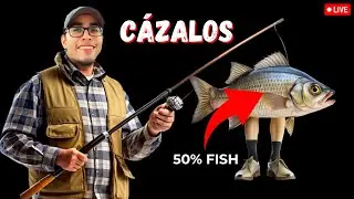 ⚠️PELIGRO!!! Aprende a Adaptarte 🧐 a los SEMI RECREACIONALES!!! 🐟🐟🐟  #poker #pokeronline #pokervideo