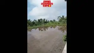 #kampungindah #kampungsunda