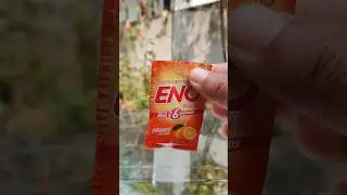 eno vs shampoo reaction 😱|simple science experiment with water #shorts #ytshorts #viral #short #eno