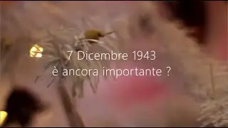 &Egrave; ancora importante il 7 dicembre 1943?  @FocoB  | 80* Anniversario 1943-2023