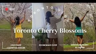Toronto High Park Cherry Blossoms | Recreating a Cozy Corner