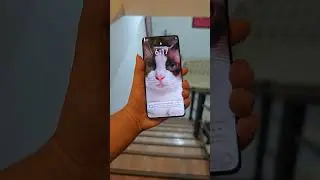 Honor x9c Drop Test