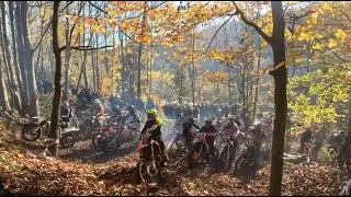Chaos im GetzenWald! GetzenRodeo 2023 FIM Hard Enduro