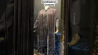 Dumbledore's Costume | Harry Potter: The Exhibition #HarryPotter #WizardingWorld #WonderMomLife