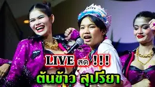 LIVE สด !!! 🌾ต้นข้าว สุปรียา ร้องสด วัดกลาง จ.อ่างทอง