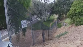 Police arrest second suspect connected to death of man found in shallow grave in Balboa Park
