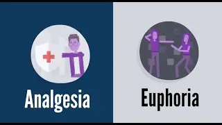 How Opioids Work - Euphoria and Analgesia