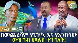 በመጨረሻም የፒኮኳ እና የአንበሳው ውዝግብ መልስ ተገኘለት! | Ethiopia