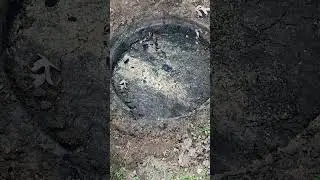 A Septic System Back-up Under The Lid