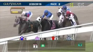 Gulfstream Park Race 2 | February 20, 2016