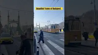 Beautiful trams of Budapest.🇭🇺 #trams #tramway #railfan #budapest #gate1travel
