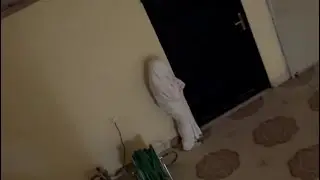 مقلبنا قعموص وشوفوا ايش سوا🤣🤣