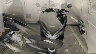 PCXJF81