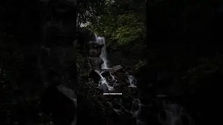 5 Waterfalls on a single 30 Minute Hike 🧗🌿 | Offbeat Goa | #shorts #waterfalls #hiddengems