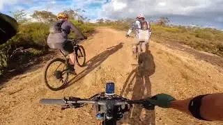 Oaks Fire Trail XC/Gravel Ride - Woodford to Glenbrook