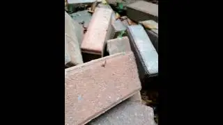 Stacking Bricks #shorts #asmr #goodsounds