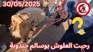 جولة في رحبت الأغنام  بوسالم جندوبة جاري البحث عن أرخص الأسعار 01/05/2025