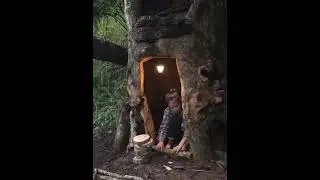 Брошенная в глуши, она превратила тысячелетнее дерево в лесной храм 🌳✨