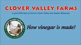 Science Behind Vinegar