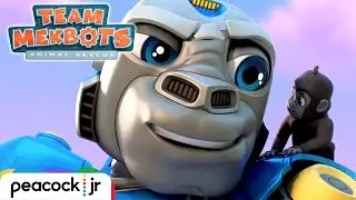 Baby Gorilla has a BIG Problem! | TEAM MEKBOTS: ANIMAL RESCUE
