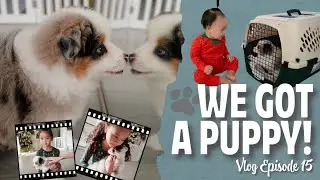 Vlog Episode 15 - We Got A Puppy!