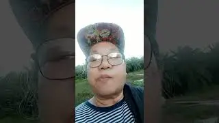 talong talongan & wild cucumbers are herbal