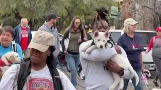 Tucson Pets of Pima Parade