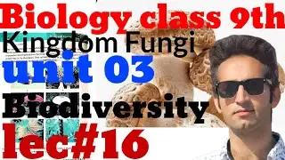 Kingdom Fungi in Detail | Class 9 Biology | Biodiversity Unit 03 | Lec 16 | Lec type Pashto/English