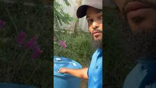 How to build a soft wash system under $500