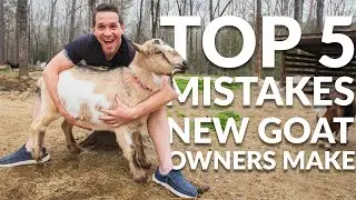TOP 5 Mistakes New Goat Owners Make