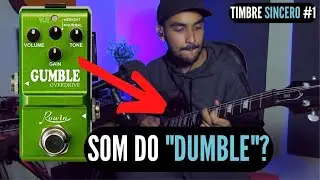 GUMBLE OVERDRIVE ROWIN (SOM DE DUMBLE) - TIMBRE SINCERO #1