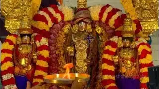 TIRUMALA SRI MALAYAPPA SWAMY VAARI KRITIHA NAKSHATRAM  GURUVAARA UNJAL SEVA AND TIRUVEEDHI UTSAVAM