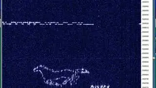 OK1FCX Animated QRSS Horses 80m
