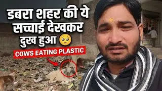 Kya ₹5 mein Dhaniya milta hai? 😲 | Dabra Market Tour