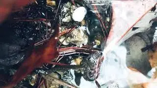 Watch this video in 0.75 speed