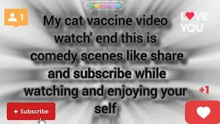 My kittu vaccination records please subscribe my channel please like please 🥺🥺🥺🥺🥺#############