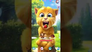 #talkingginger2