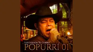 Popurri 01: Compadre Gerardo Brito / Sentimiento En El Palmar / Palmares De Calabozo / llano Y...