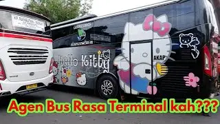 Hunting Bus Agen Pasar Rebo👉 Pertemuan Bus Dari Barat | Keberangkatan Menjelang Sore