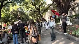 第一次来广州，首先逛一下热闹的沙面岛，为啥有一点伤感！