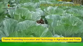 Tukutane NAIROBI show 2025. Nairobi International Trade Fair 2025.