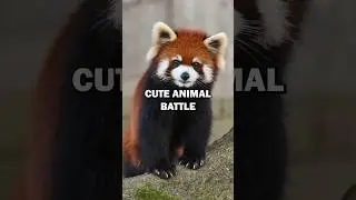 CUTE ANIMAL BATTLE! #animals #cuteanimals #cutepets #bunny #pig #piggy #ferret #bestpets #petlover