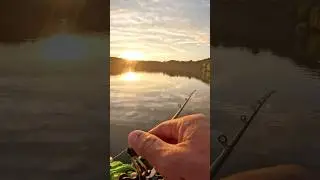 getting skunked with sunset #milliondollarbaby #fishing #skunked #bass #viralvideo