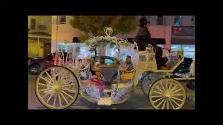 Dream Horse Carriage Cinderella Carriage Birthday Party Nov 20 2021