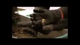Alaska Gold Diggers