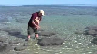 Why are they called stromatolites
