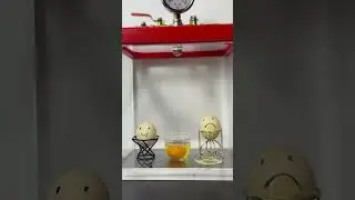Vacuum vs Egg, what is next?