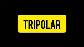 TRIPOLAR [Lyric video] (interlude) #The City LP