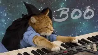 KEYBOARDCAT BOO24