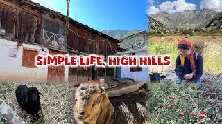 Malari village Uttarakhand | some days in ससुराल | Beautiful Life | Shilpa
